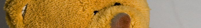 Teddy banner